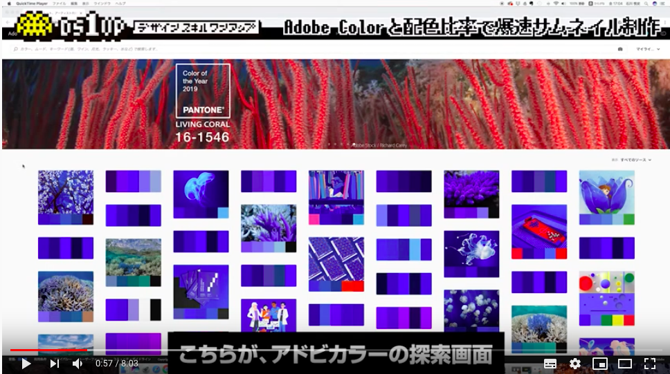 Adobe Colorの使い方 Adobe Colorと配色比率で爆速サムネイル作成 ホームページ制作会社 栃木市の株式会社elements